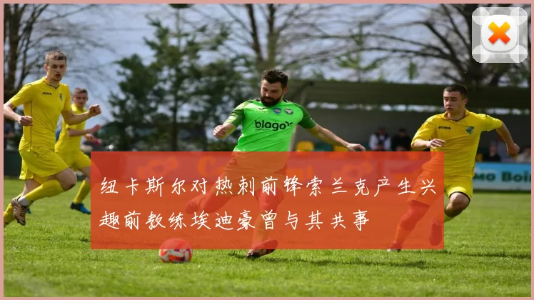 纽卡斯尔对热刺前锋索兰克产生兴趣前教练埃迪豪曾与其共事