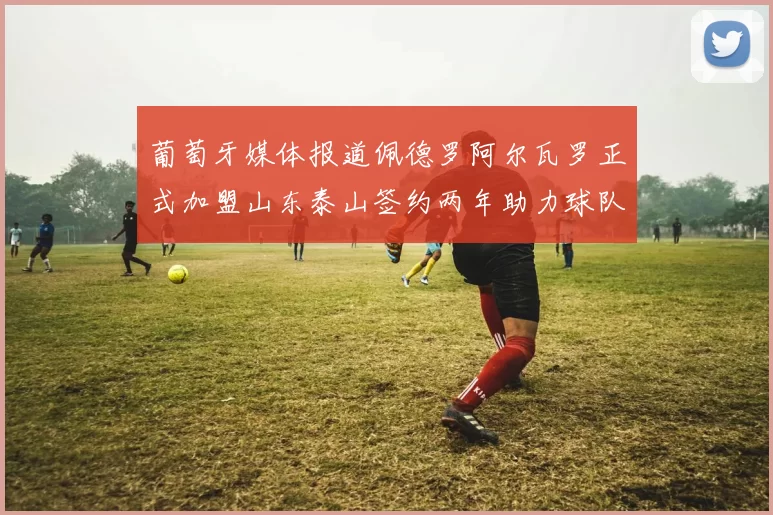 葡萄牙媒体报道佩德罗阿尔瓦罗正式加盟山东泰山签约两年助力球队发展